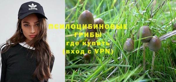крисы Арсеньев